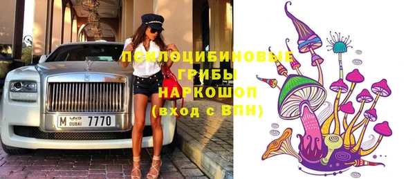 альфа пвп Няндома